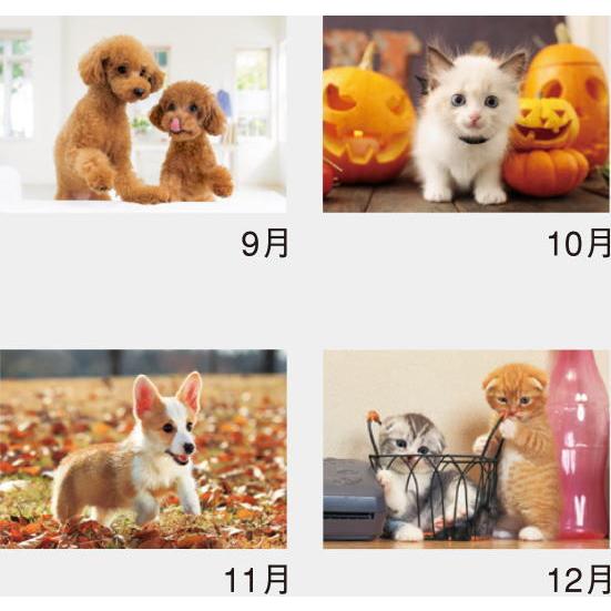 カレンダー 21 壁掛け 猫 犬 リトルフレンド ペットカレンダー カレンダー 21年 令和3年 カレンダー21 壁掛けカレンダー 犬 猫 カレンダー Nk 90 ペットマニア 通販 Yahoo ショッピング