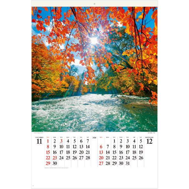 だいたいぜんぶ展限定壁掛けポスター 乃木坂46Artworksだいたいぜんぶ展限定壁掛けポスター 乃木坂