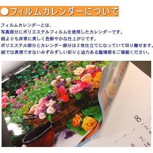 カレンダー 2026 壁掛け （フィルム）世界の大自然 特大サイズフィルム