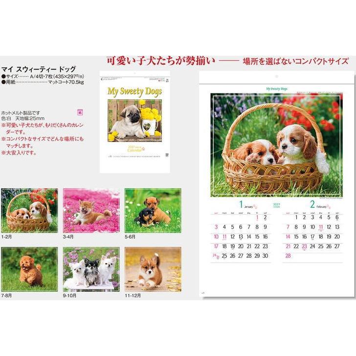 カレンダー 2027 壁掛け 犬 マイスウィーティードッグ (小) 人気の