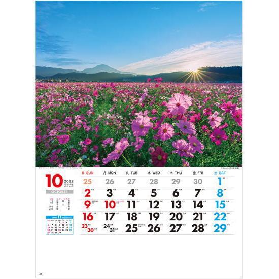 日本観光風景 カレンダー 22 壁掛け 12か月表示 六曜 旧暦 主要行事入り 令和4年 日本風景カレンダー 富士山 桜 紅葉 高原 Sg 260 ペットマニア 通販 Yahoo ショッピング