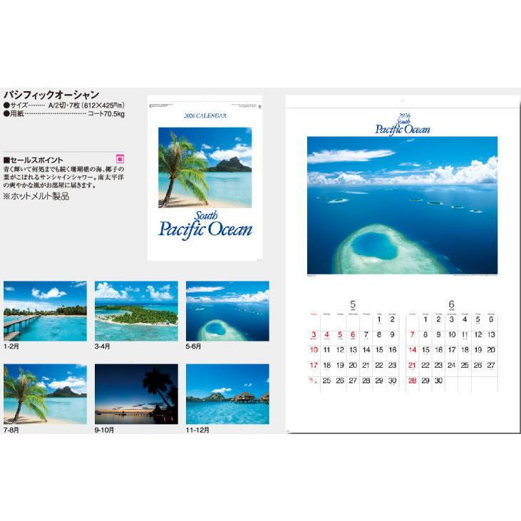 カレンダー 2026 壁掛け 海 大判 パシフィックオーシャン カレンダー