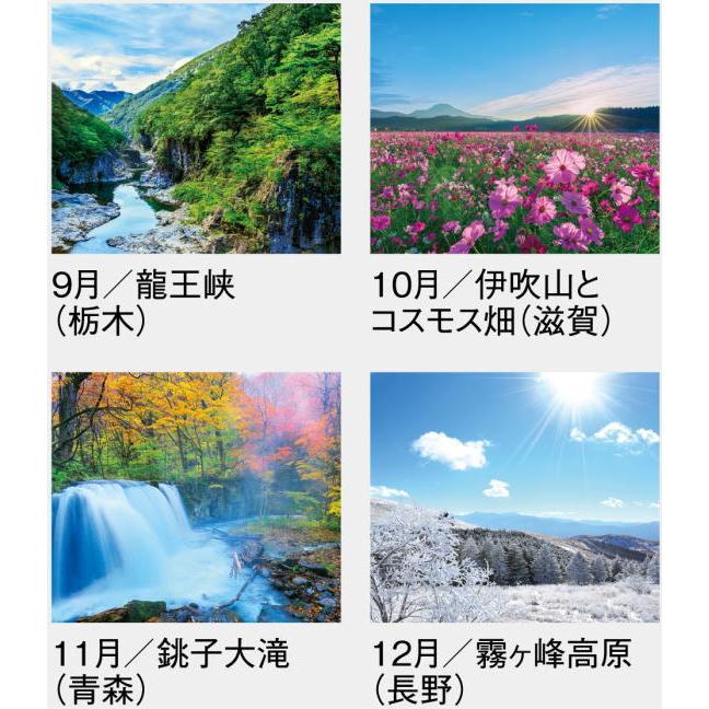 カレンダー 21 壁掛け 風景 大判サイズ 美しき日本 日本風景 21年カレンダー 令和3年 壁掛けカレンダー 12ヶ月 数字が見やすい 人気 Sg 454 ペットマニア 通販 Yahoo ショッピング