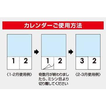 特大サイズフィルムカレンダー 静寂の庭 ミシン目入り カレンダー2024　令和6年 壁掛けカレンダー 名園カレンダー 日本庭園　京都　　｜petmania｜06