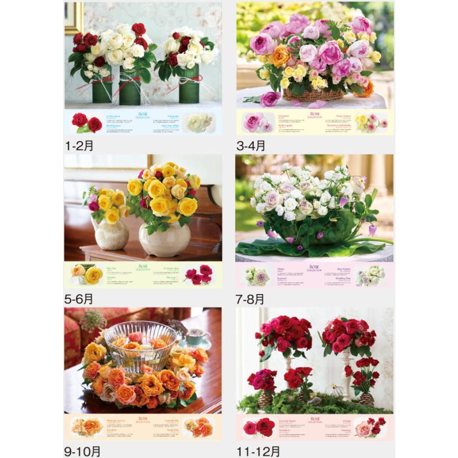 カレンダー 2026 壁掛け 薔薇 花 ROSE COLLECTION