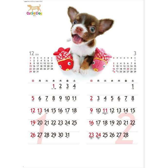 カレンダー 2025 壁掛け 犬 キューティードッグ カレンダー 2025