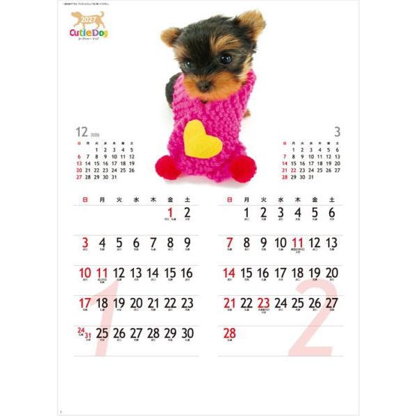カレンダー 2027 壁掛け 犬 キューティードッグ コンパクトサイズ