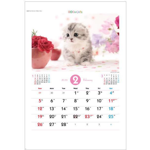 カレンダー 2023 壁掛け 猫 犬 ラブリードッグキャット 犬と猫の可愛いカレンダー 2023年 令和5年 壁掛けカレンダー 犬・猫カレンダー 小  :sp-65:ペットマニア - 通販 - Yahoo!ショッピング