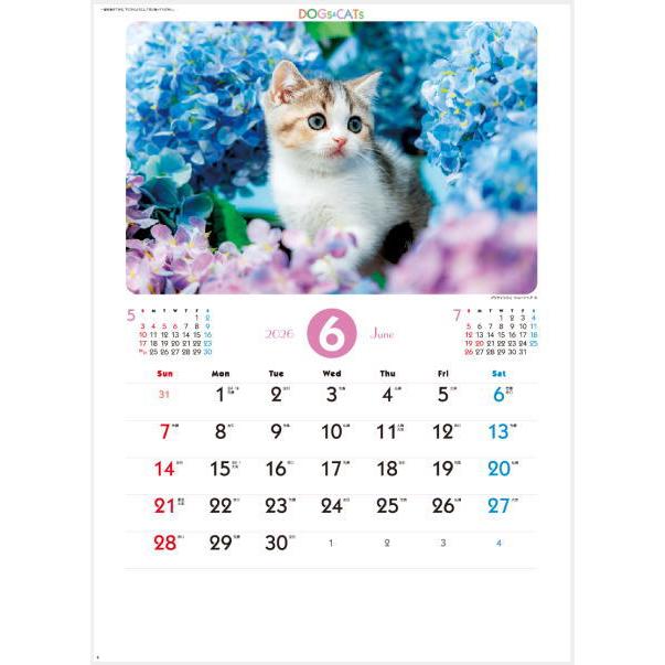 カレンダー 2026 壁掛け 猫 犬 ラブリードッグ&キャット 犬と猫の