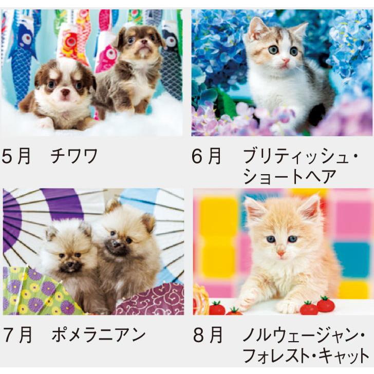 カレンダー 2026 壁掛け 猫 犬 ラブリードッグ&キャット 犬と猫の