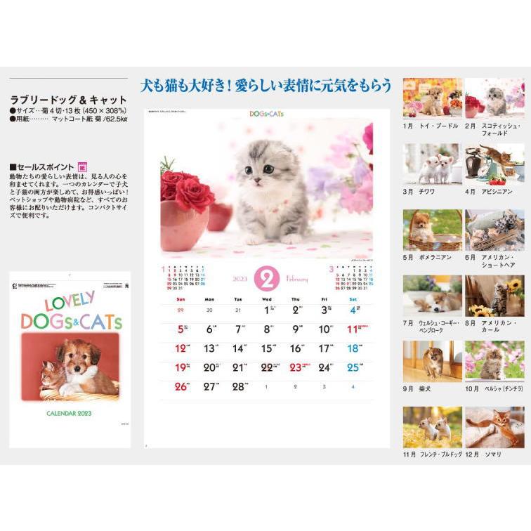 カレンダー 2023 壁掛け 猫 犬 ラブリードッグキャット 犬と猫の可愛いカレンダー 2023年 令和5年 壁掛けカレンダー 犬・猫カレンダー 小  :sp-65:ペットマニア - 通販 - Yahoo!ショッピング