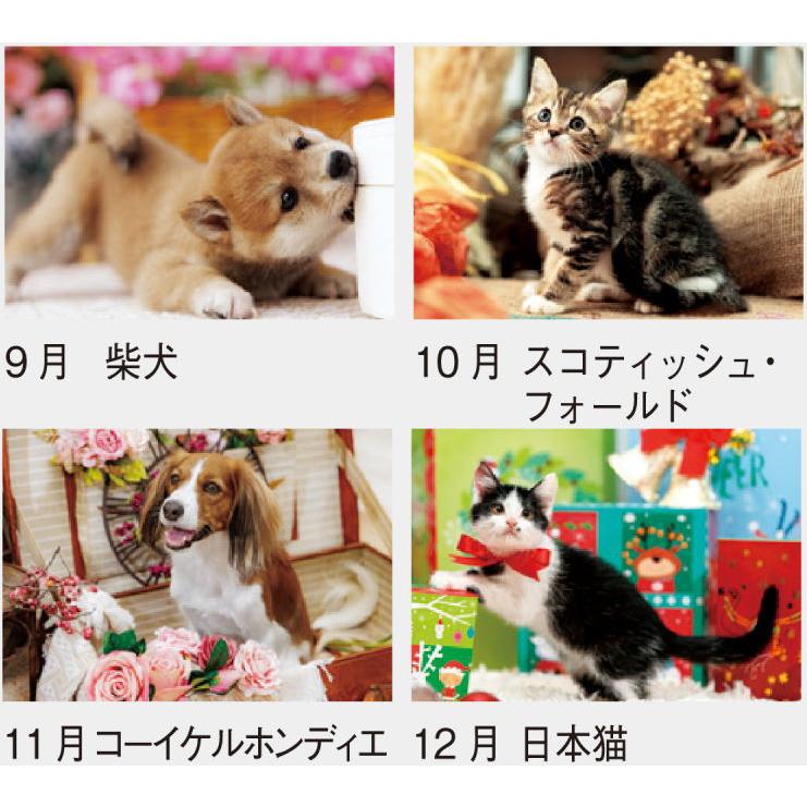 カレンダー 2026 壁掛け 猫 犬 ラブリードッグ&キャット 犬と猫の