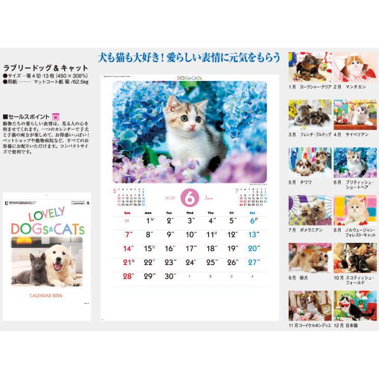 カレンダー 2026 壁掛け 猫 犬 ラブリードッグ&キャット 犬と猫の