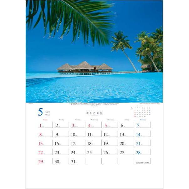 癒しの楽園 三好和義作品集 カレンダー 22 壁掛け 海カレンダー マリンビーチ 絶景フォト モルディブ ハワイ タヒチ 沖縄 Td ペットマニア 通販 Yahoo ショッピング