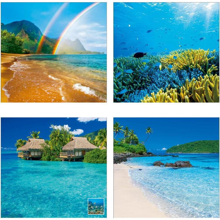 夏た〜海景色。40＊50绘框つき 夏た〜海景色。