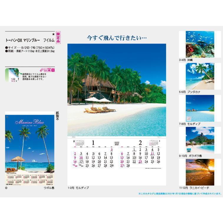 特大サイズフィルム マリンブルー 壁掛けカレンダー 22 トーハンdx Marine Blue 22カレンダー 海 沖縄 モルディブ 島 Td 527 ペットマニア 通販 Yahoo ショッピング