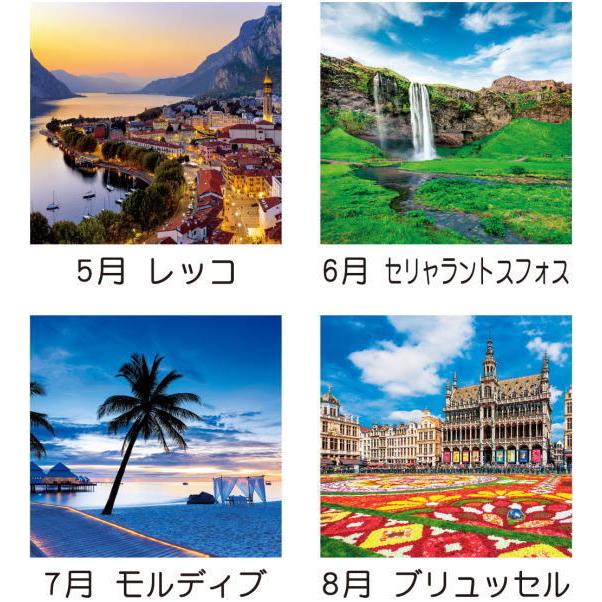 特大サイズフィルムカレンダー 22 世界の美 トーハン ハイdx 最高級フィルム 壁掛けカレンダー 世界風景 ヴェネツィア パリ ブリュッセル Td 566 ペットマニア 通販 Yahoo ショッピング