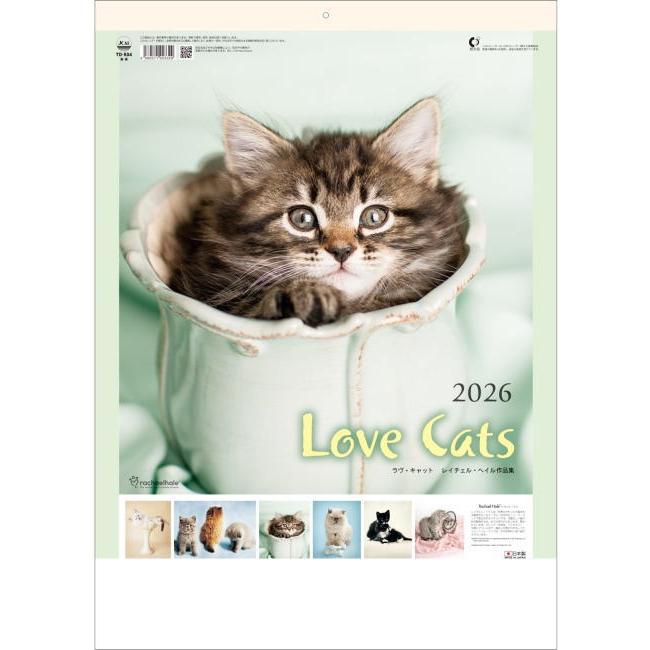 カレンダー 2026 壁掛け 猫 ねこ おしゃれ かわいい 2026年 壁掛け