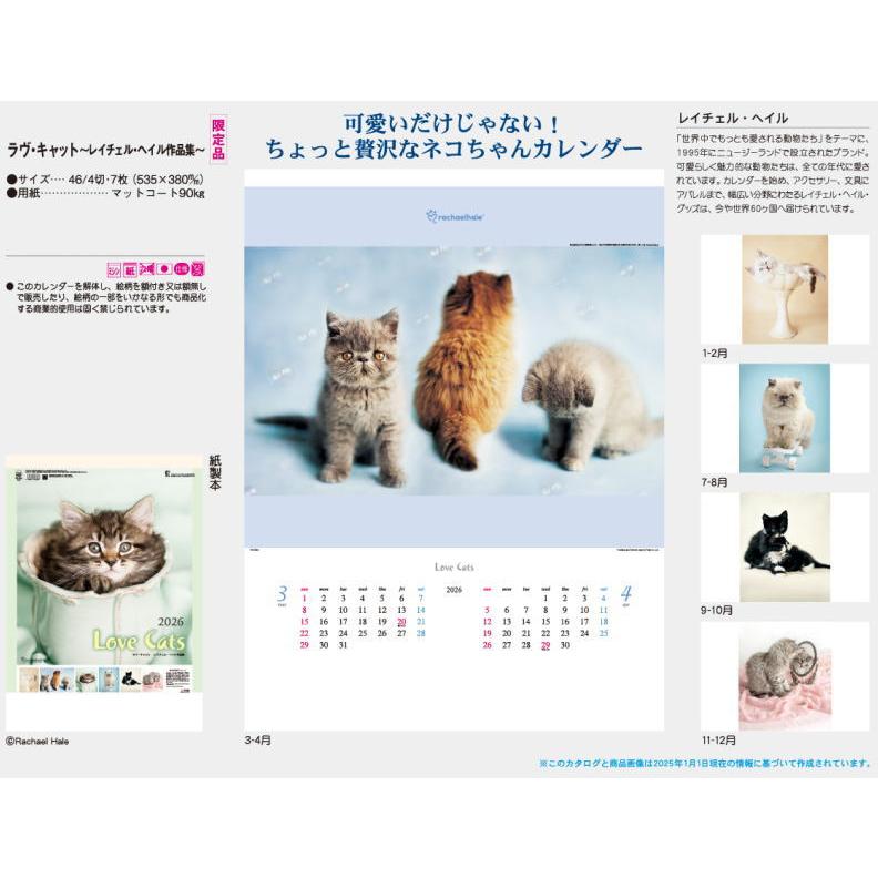 カレンダー 2026 壁掛け 猫 ねこ おしゃれ かわいい 2026年 壁掛け