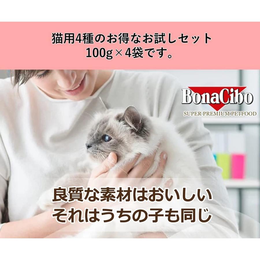無添加キャットフード ボナシーボ 4種お試しセット 100g 4袋 成猫用 子猫用 下部尿路ケア ダイエット プレミアム 総合栄養食 低穀物 グルテンフリー Bon Cat Sample00 Petmanma 通販 Yahoo ショッピング