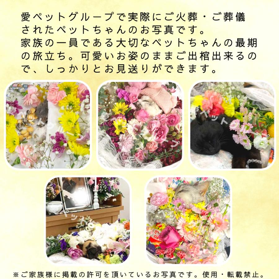 ペット用棺（ひつぎ）　おくるみ　Mサイズ　犬　猫　中型ペット　ご安置　お通夜　遺体安置　【愛ペット限定 】_4