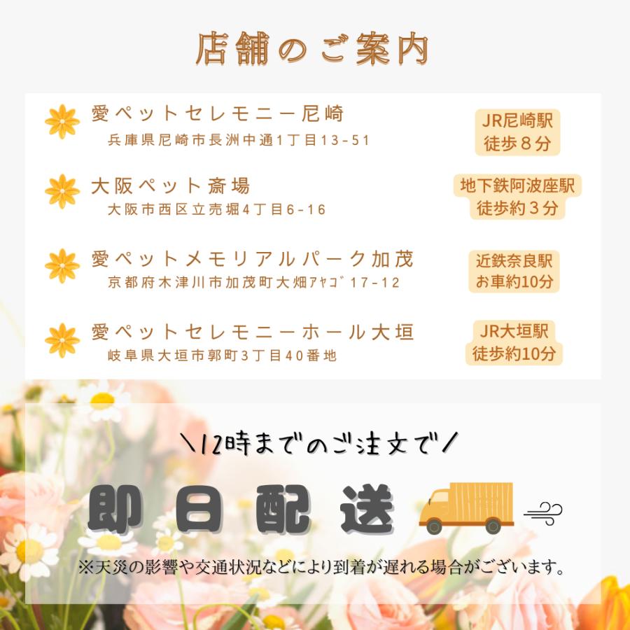 ペット用棺（ひつぎ）　おくるみ　Mサイズ　ミニ数珠付　犬　猫　中型ペット　ご安置　お通夜　遺体安置 セット　【愛ペット限定】_14