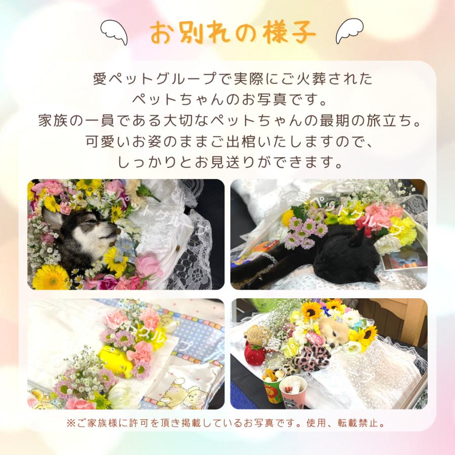 ペット用棺（ひつぎ）　おくるみ　Mサイズ　ミニ数珠付　犬　猫　中型ペット　ご安置　お通夜　遺体安置 セット　【愛ペット限定】_6