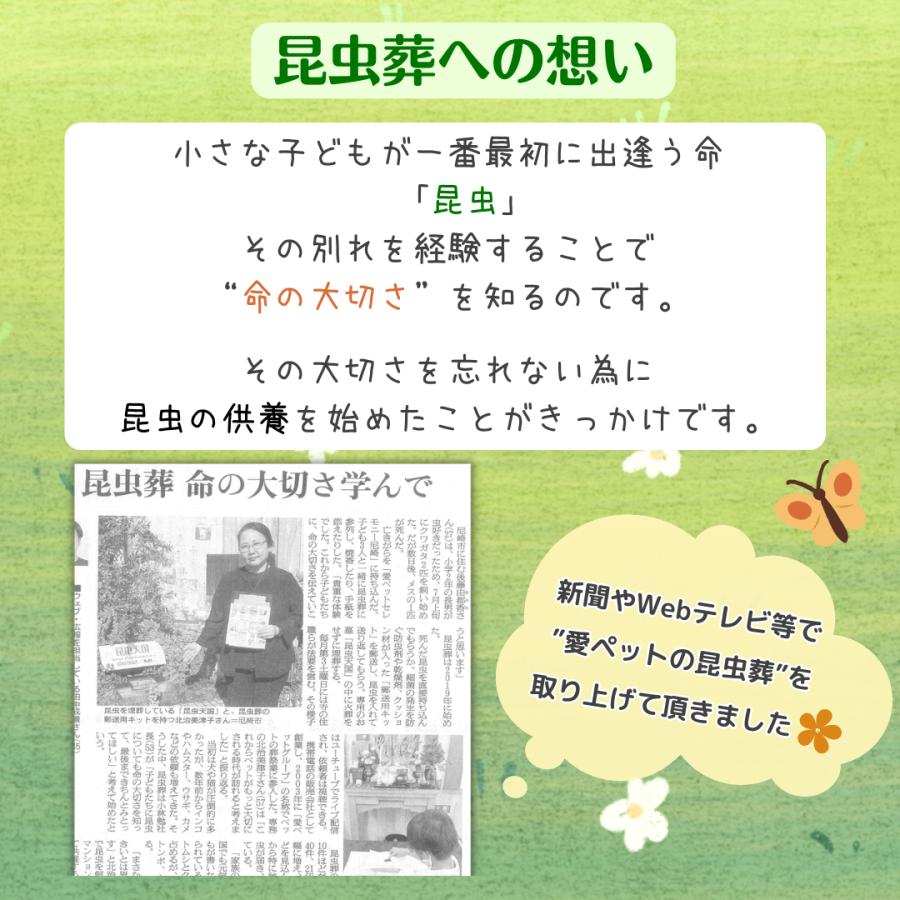 愛ペット 昆虫葬 郵送キットPLUS（埋葬・ご供養費・郵送料込み） |  | 01