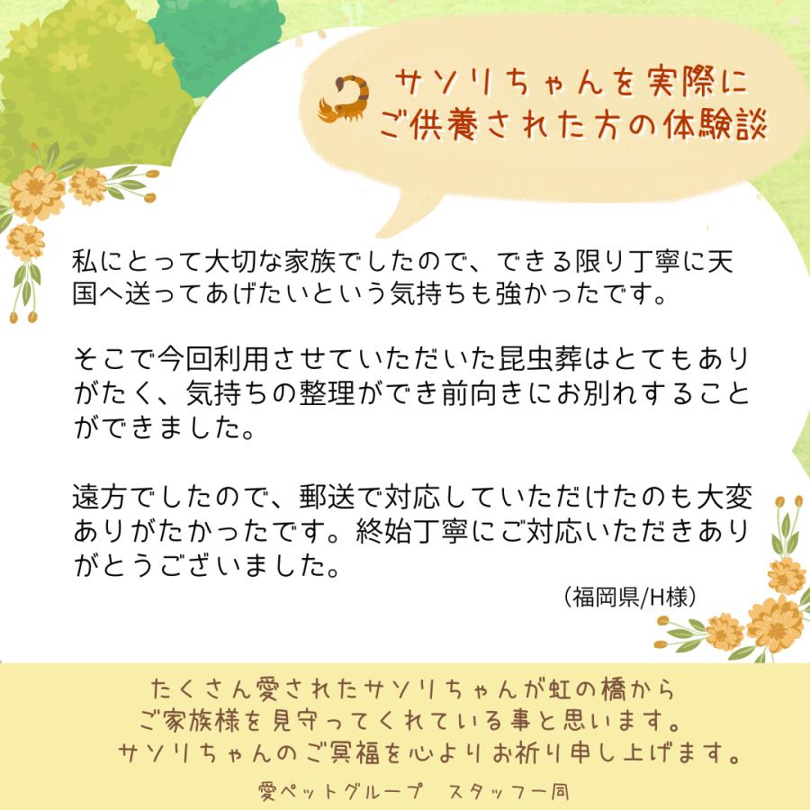 愛ペット 昆虫葬 郵送キットPLUS（埋葬・ご供養費・郵送料込み） |  | 02