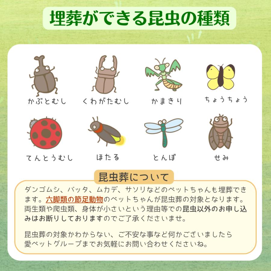 愛ペット 昆虫葬 郵送キットPLUS（埋葬・ご供養費・郵送料込み） |  | 03