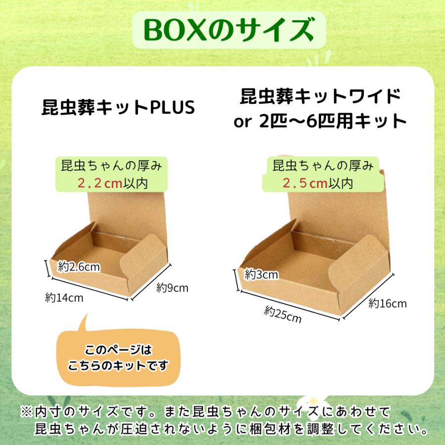 愛ペット 昆虫葬 郵送キットPLUS（埋葬・ご供養費・郵送料込み） |  | 05