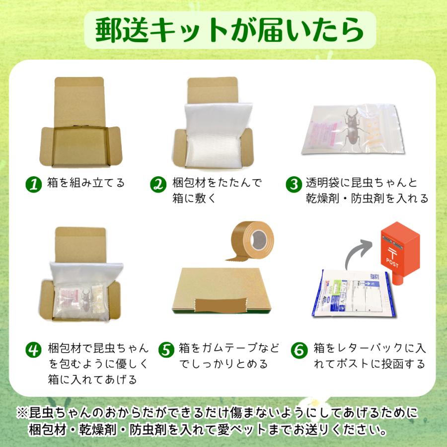愛ペット 昆虫葬 郵送キットPLUS（埋葬・ご供養費・郵送料込み） |  | 07