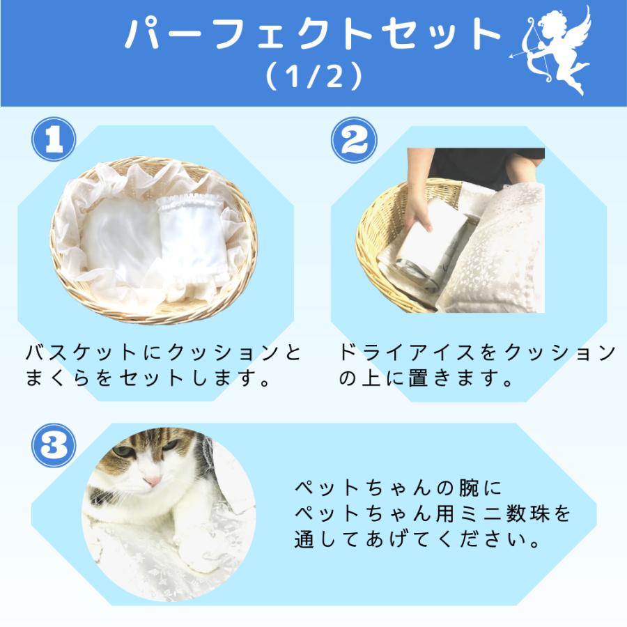 ペット用棺（ひつぎ）ご火葬までのペットの遺体安置は、このパーフェクト１つで充分！　Mサイズ |  | 02
