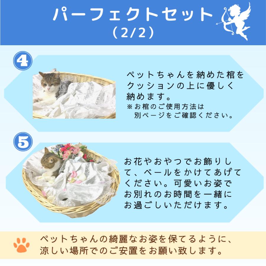 ペット用棺（ひつぎ）ご火葬までのペットの遺体安置は、このパーフェクト１つで充分！　Mサイズ |  | 03