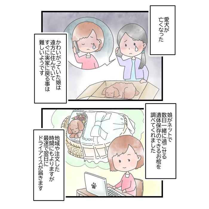 ペット用棺（ひつぎ）ご火葬までのペットの遺体安置は、このパーフェクト１つで充分！SSサイズ_13