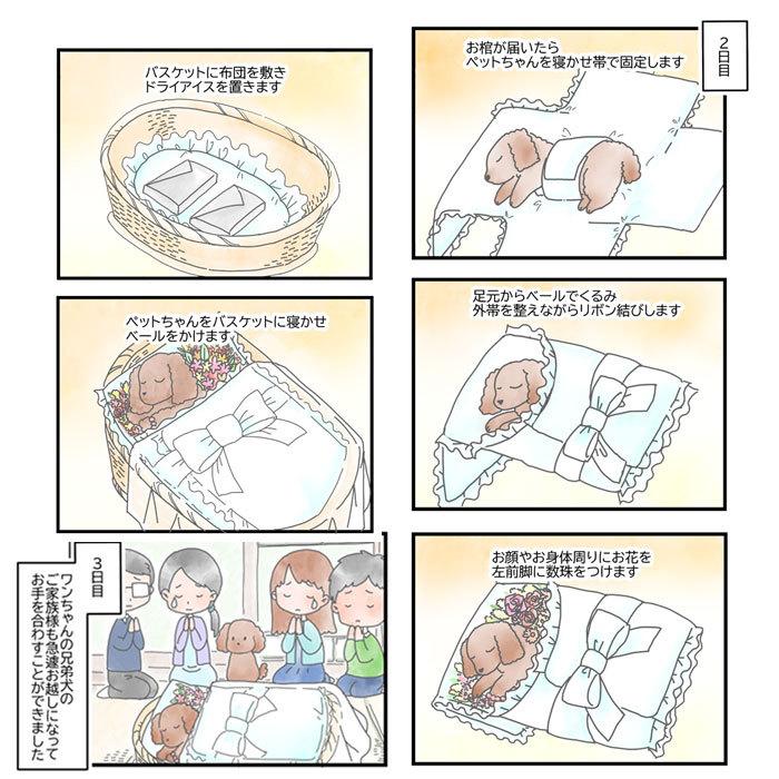 ペット用棺（ひつぎ）ご火葬までのペットの遺体安置は、このパーフェクト１つで充分！SSサイズ_14