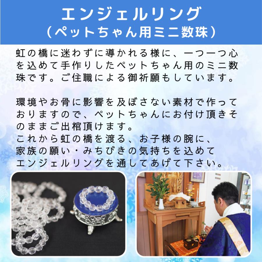 ペット用棺（ひつぎ）ご火葬までのペットの遺体安置は、このパーフェクト１つで充分！SSサイズ_7