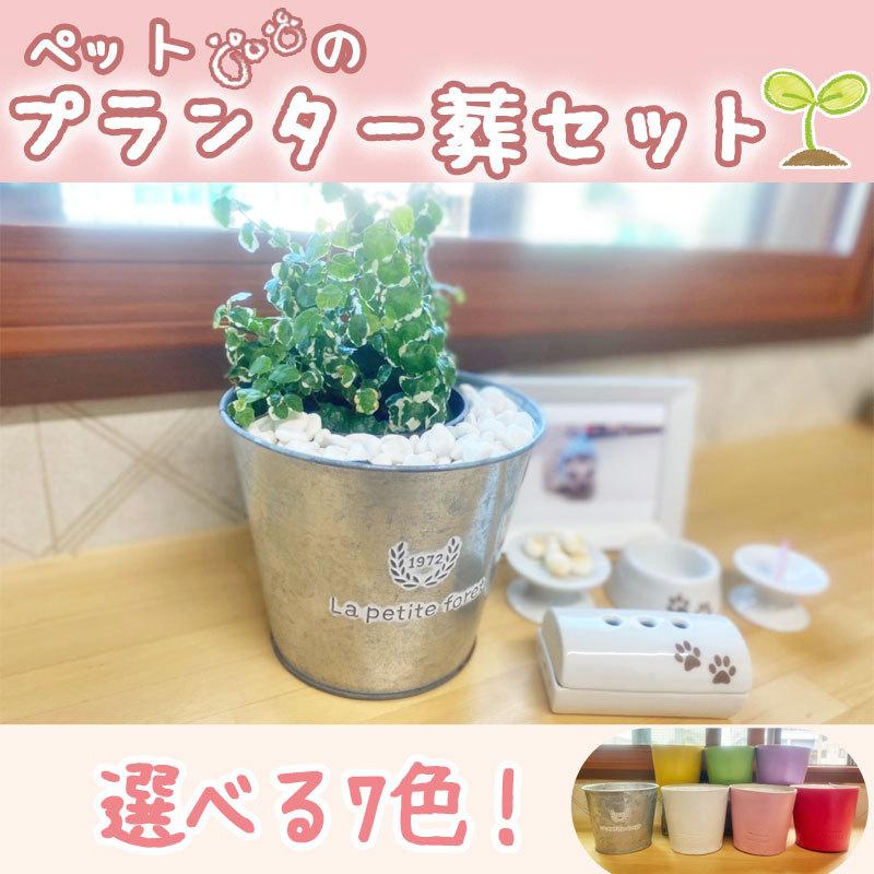 医療の マルクス主義者 一般的に プランター 葬 セット 取得する 虫を数える ジャンプする