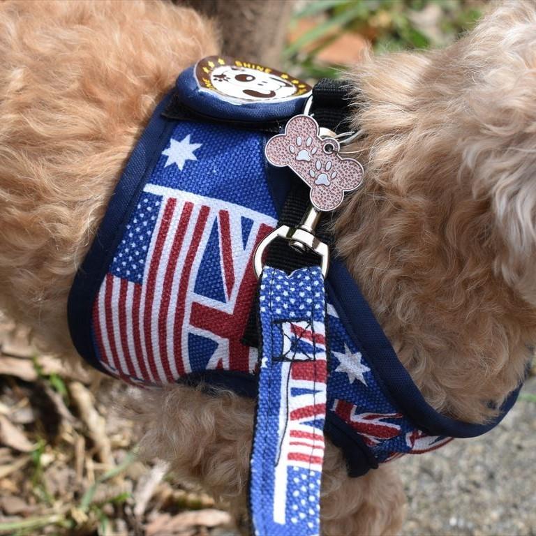 刻印無料 ペット用ハーネス 迷子札 ハーネスリード3点セット 犬用