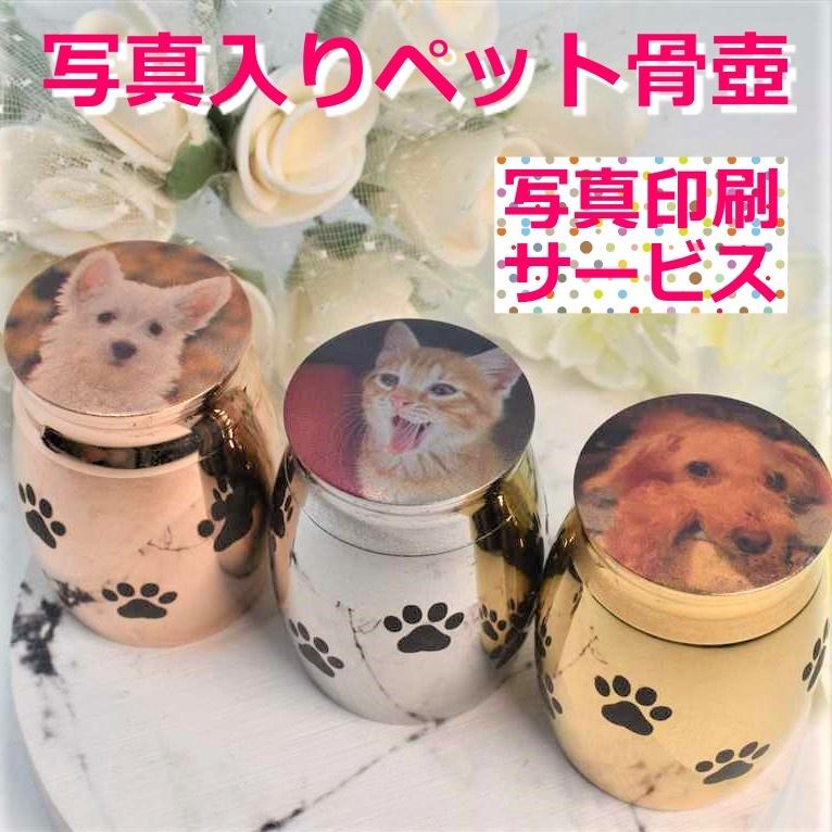 超安い】【超安い】トップス 猫ちゃん足跡ハート柄 その他 | blog