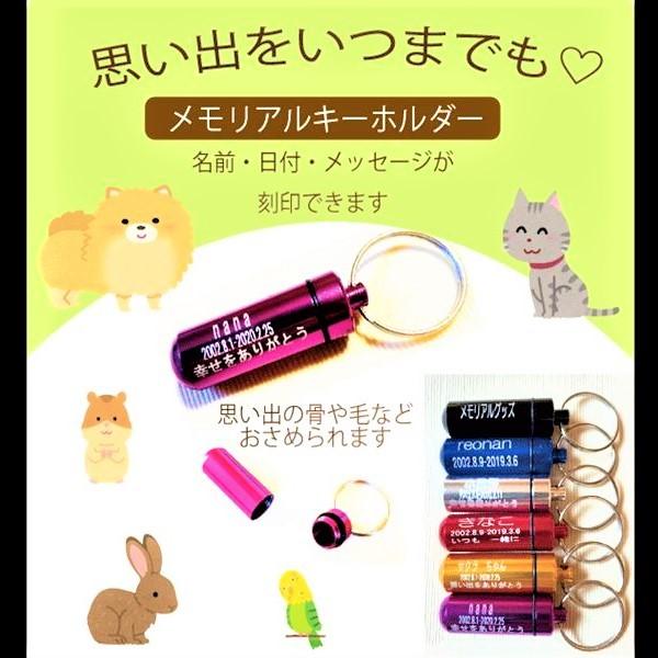 刻印無料 名入れ ペット用メモリアル オーナーズグッズ ペット遺骨カプセル キーホルダー ペット仏具 遺灰 分骨 納骨 遺骨入れ 定番スタイル