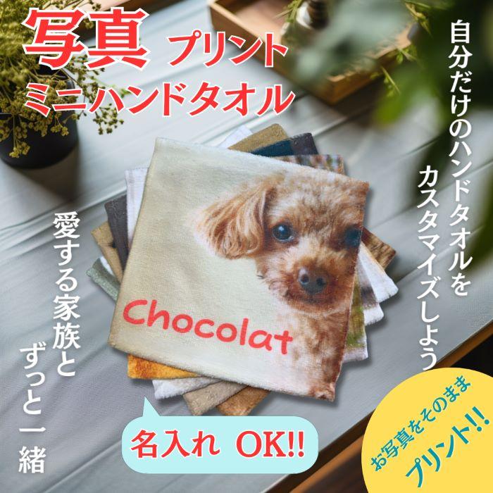 オリジナル 写真入り 名入れ ハンカチ ハンドタオル 子供 孫 ペット