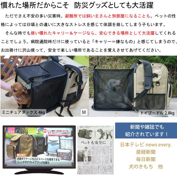 ペット キャリー リュック PFI 犬 猫 キャリーバッグ モダン お出かけ