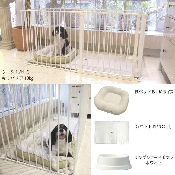 犬 ベッド 洗える ペットベッド 犬用ベッド クッション ＲベッドＢ ＳＳサイズ 約42×49cm ウォームハートカンパニー WHCY｜petnext｜09