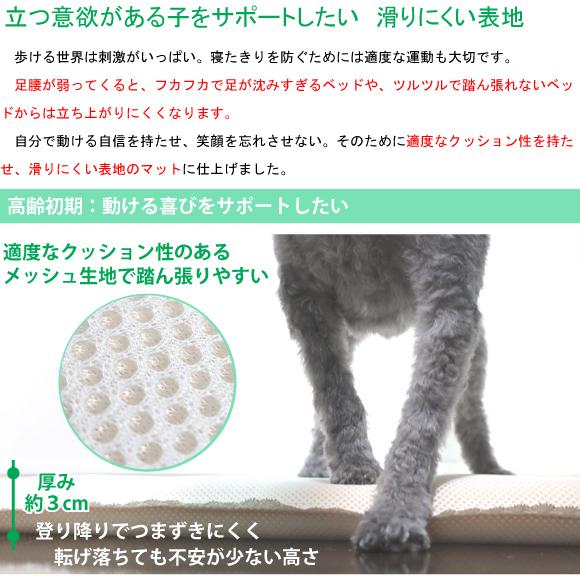 WHCY 犬 介護 ベッド マット 介護用マット ハニカムケアマット S 60×50