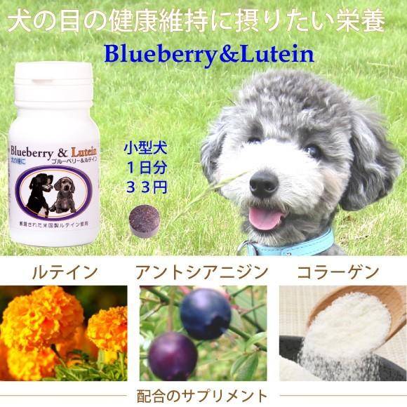 犬の瞳に ブルーベリー ルテイン 60粒 犬用 目 国産 サプリメント G A ナチュラルペットフードshop 通販 Yahoo ショッピング