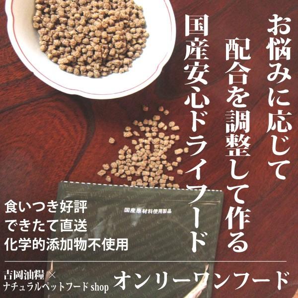 ドッグフード 無添加 国産 吉岡油糧 オンリーワンフード 1kg リピート注文用 個別配合 オーダーメイド ドライフード 犬 涙やけ ダイエット 食いつき G360201 A ナチュラルペットフードshop 通販 Yahoo ショッピング