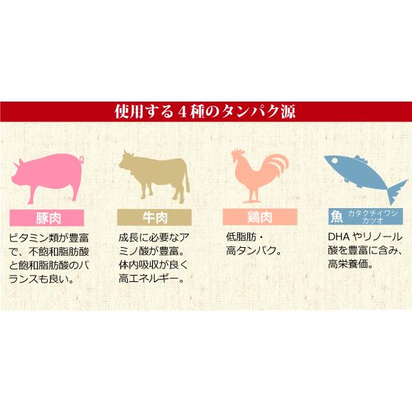 ドッグフード 無添加 国産 吉岡油糧 プレミアムフード 1kg 結石の子に