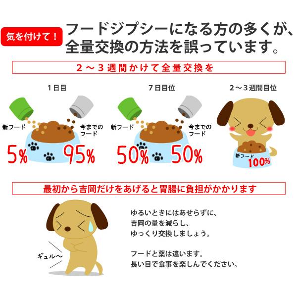 ドッグフード 無添加 国産 吉岡油糧 オンリーワンフード 1kg 初回限定