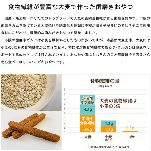 犬 歯磨きガム 無添加 国産 吉岡油糧 歯石  歯みがき スティック 3本入 オーラルケア ハミガキ ガム 犬用 おやつ デンタルケア 小型犬 歯磨き｜petnext｜03